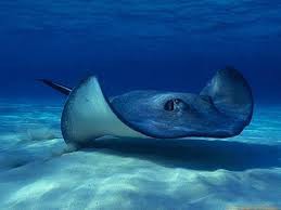 La Mantaraya